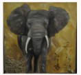 /album/les-animaux/elephant-afrique-jpg1/